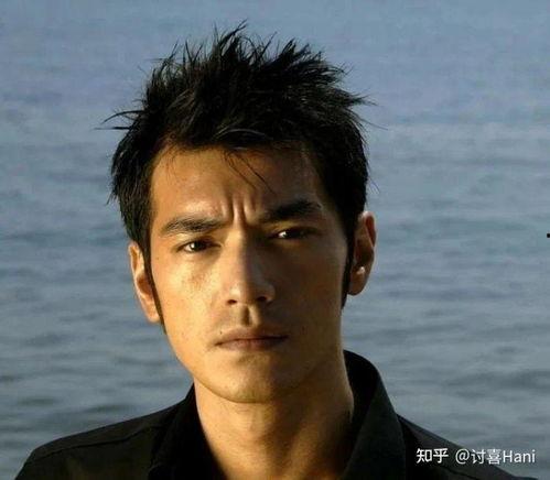 有没有双眼皮的男明星,揭秘那些拥有迷人双眼的帅气面孔