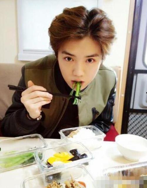 明星用的饭盒,健康饮食新潮流